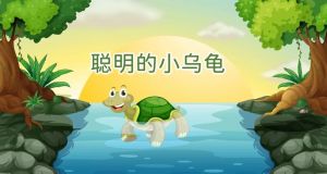 水陆两栖多长寿，宠物食材亦需护（乌龟的ppt）