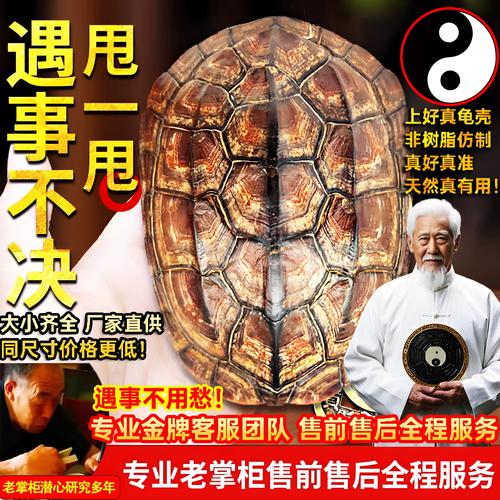 开光龙龟的吉祥寓意与摆放禁忌(把玩乌龟壳有什么忌讳) 开光龙龟的吉祥寓意与摆放禁忌(把玩乌龟壳有什么忌讳)