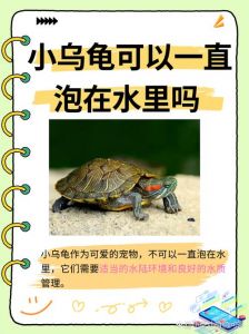 龟放生害人害己，正确处理才负责任（乌龟不能扔的原因）