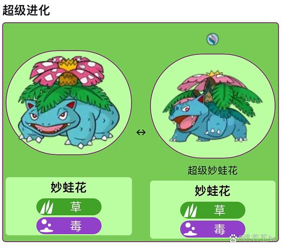 草系顶尖,晴天更猛!(妙蛙花超进化图片) 草系顶尖,晴天更猛!(妙蛙花超进化图片)