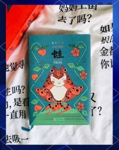 计划生育下的生命与罪责（蛙 莫言）