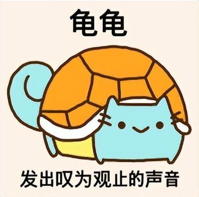高冷绿龟的二次元梗文化(问了吗乌龟表情包) 高冷绿龟的二次元梗文化(问了吗乌龟表情包)