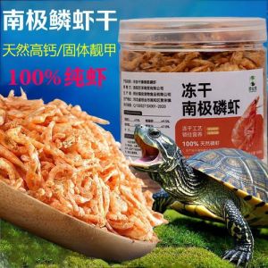 高价泡沫警示，养龟为乐勿当投资（现在干宠物龟这行咋样）
