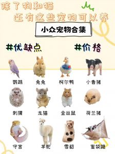 乌龟下蛋不喂奶，猫狗兔才喂奶（以下哪种动物不是哺乳动物猫乌龟兔子狗）