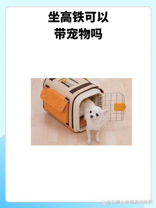 绿皮火车带宠物龟的正确托运方法(绿皮火车让带宠物龟么) 绿皮火车带宠物龟的正确托运方法(绿皮火车让带宠物龟么)