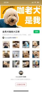 宠物表情包生成器，AI玩出趣！（宠物发生器表情包网站）