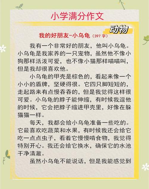 小龟背驮小龟,成长与保护(我叫小龟 我喜欢就这么) 小龟背驮小龟,成长与保护(我叫小龟 我喜欢就这么)