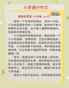 小龟背驮小龟，成长与保护（我叫小龟 我喜欢就这么）