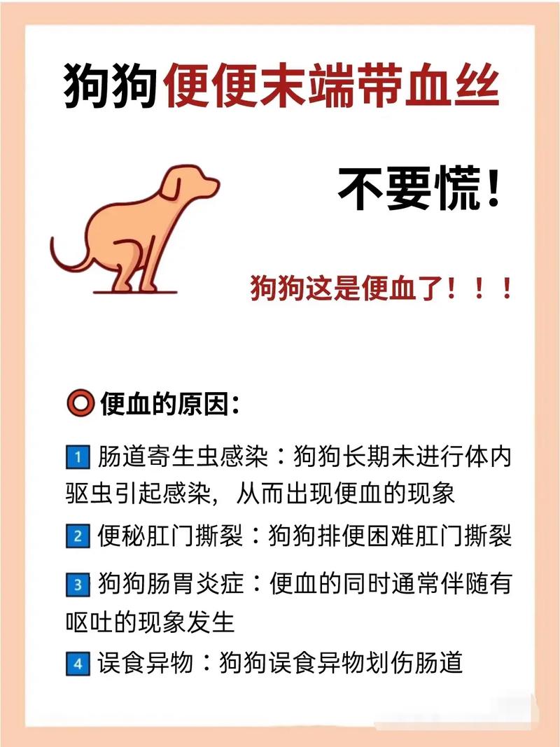 小狗便便臭?吃肉油腻或消化弱(宠物小狗拉屎巨臭是什么原因) 小狗便便臭?吃肉油腻或消化弱(宠物小狗拉屎巨臭是什么原因)