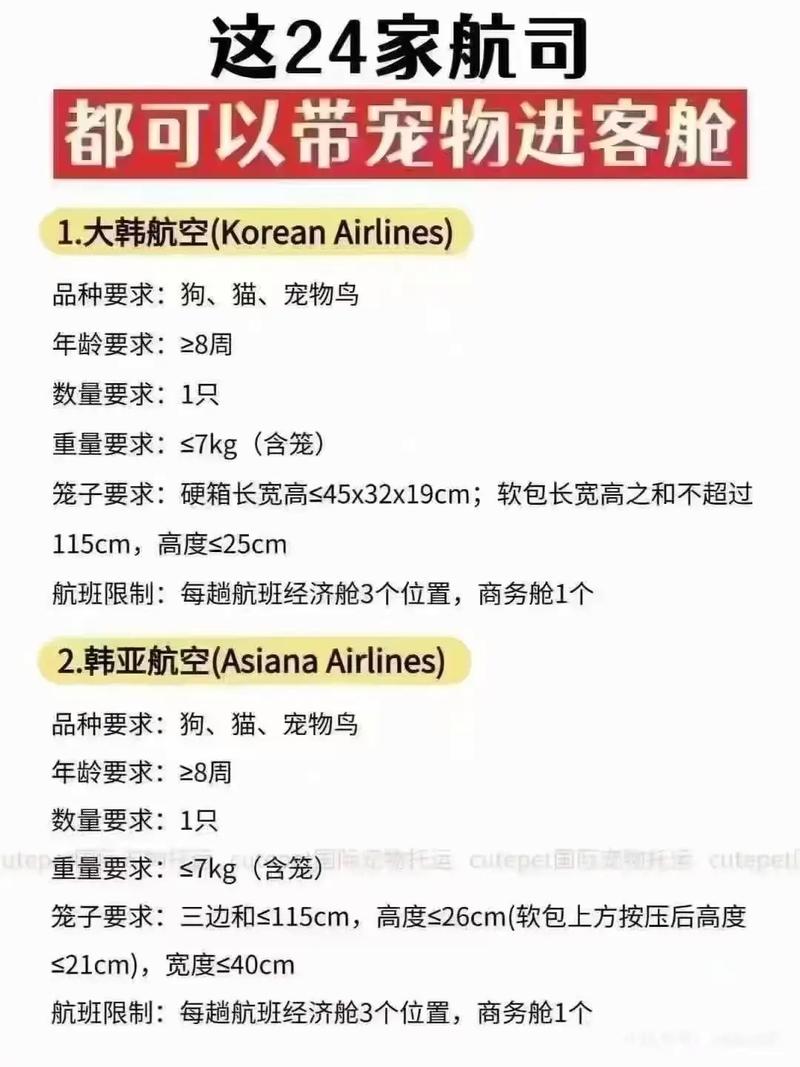 带宠物坐飞机?看航空公司规定!(宠物能带上飞机吗) 带宠物坐飞机?看航空公司规定!(宠物能带上飞机吗)