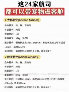 带宠物坐飞机？看航空公司规定！（宠物能带上飞机吗）