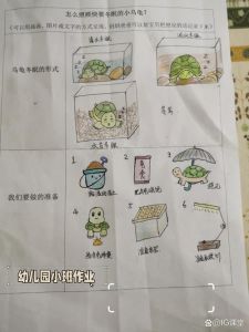 巴西龟过冬注意温度水食光，健康安全过冬小妙招（冬天小乌龟应该怎么养）