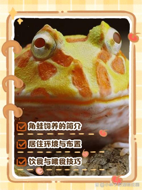 选对宠物蛙,环境食育要注意!(宠物蛙怎么养) 选对宠物蛙,环境食育要注意!(宠物蛙怎么养)