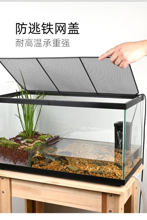 宽敞水域石,健康舒适家(玻璃缸养乌龟的缸怎么布置) 宽敞水域石,健康舒适家(玻璃缸养乌龟的缸怎么布置)