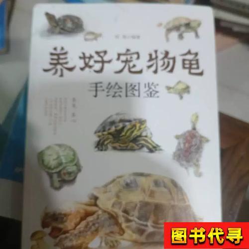 空间食物环境,养龟必备!(养好宠物龟手绘图鉴电子版) 空间食物环境,养龟必备!(养好宠物龟手绘图鉴电子版)