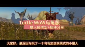 HC硬核龟速疲劳等，挑战乐趣无穷！（乌龟服怎么玩）