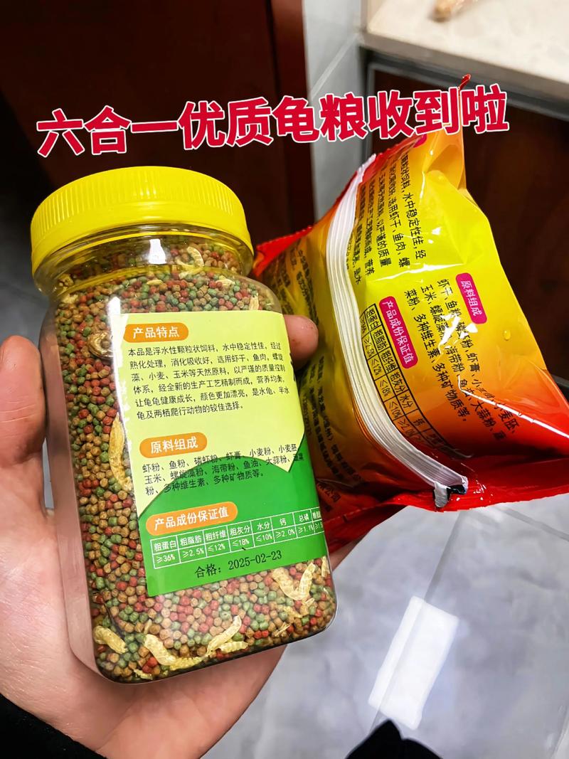 小乌龟饮食多样,龟粮为主,加虾鱼肉,注意均衡(夸克夸克 乌龟吃什么东西) 小乌龟饮食多样,龟粮为主,加虾鱼肉,注意均衡(夸克夸克 乌龟吃什么东西)