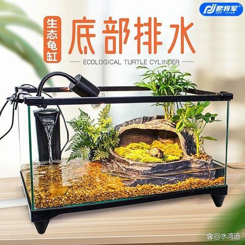 小乌龟和鱼能混养吗？有风险！（小乌龟可以放鱼缸里和鱼一起养吗）