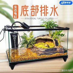 小乌龟和鱼能混养吗？有风险！（小乌龟可以放鱼缸里和鱼一起养吗）