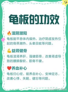 龟壳功效多，中医师指导才安全（吃龟壳对人体有什么好处）