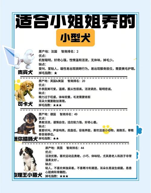 养宠物需考虑个性特点(最受十大欢迎的宠物介绍) 养宠物需考虑个性特点(最受十大欢迎的宠物介绍)