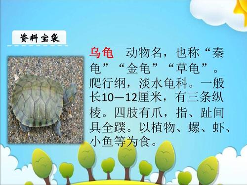 维护生态平衡(讲宠物龟的ppt) 维护生态平衡(讲宠物龟的ppt)