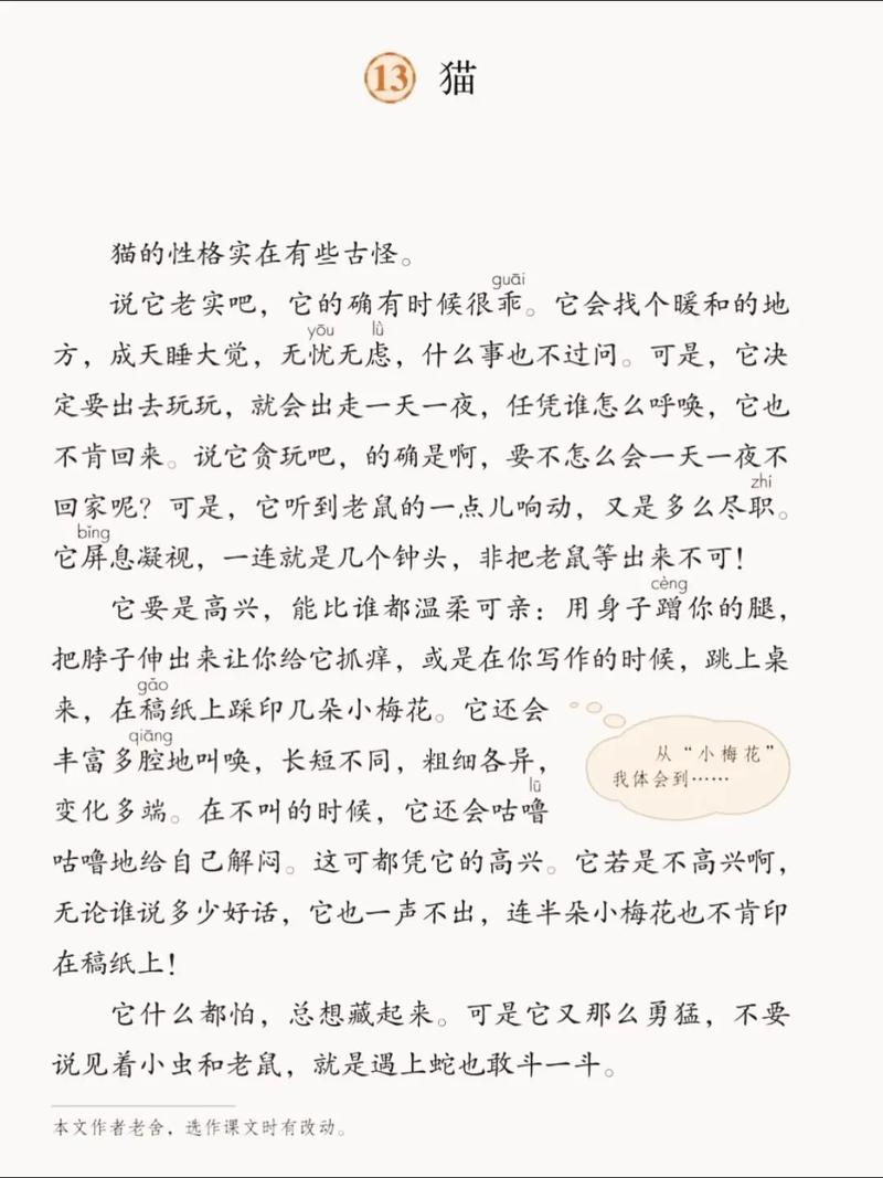 科研评价体系该变变!(宠物猫当论文作者) 科研评价体系该变变!(宠物猫当论文作者)