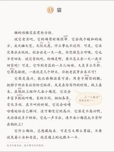 科研评价体系该变变！（宠物猫当论文作者）