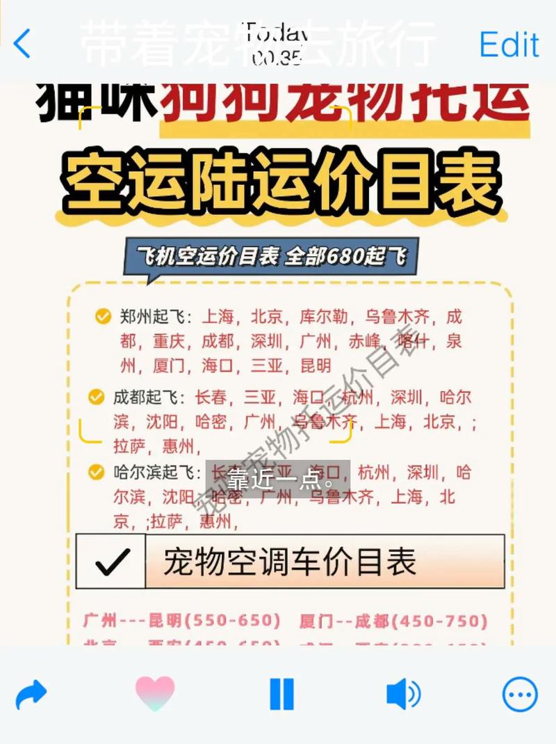 选对航空箱,了解规定!(宠物怎么带上飞机) 选对航空箱,了解规定!(宠物怎么带上飞机)