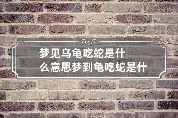 长寿稳定,缩头示警,慢行有智慧(梦到乌龟代表什么) 长寿稳定,缩头示警,慢行有智慧(梦到乌龟代表什么)