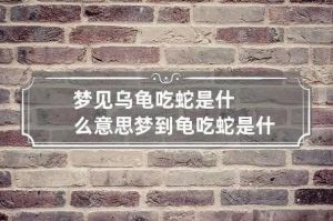 长寿稳定，缩头示警，慢行有智慧（梦到乌龟代表什么）