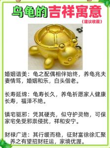 象征稳定或不安？（做梦梦见乌龟在情感方面上象征着什么）