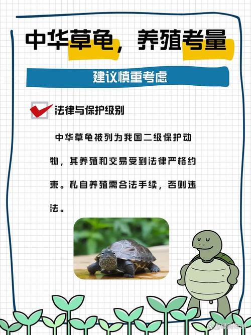 养龟招穷?那是迷信,科学养龟才快乐!(为何说家庭养乌龟禁忌养龟穷三代) 养龟招穷?那是迷信,科学养龟才快乐!(为何说家庭养乌龟禁忌养龟穷三代)