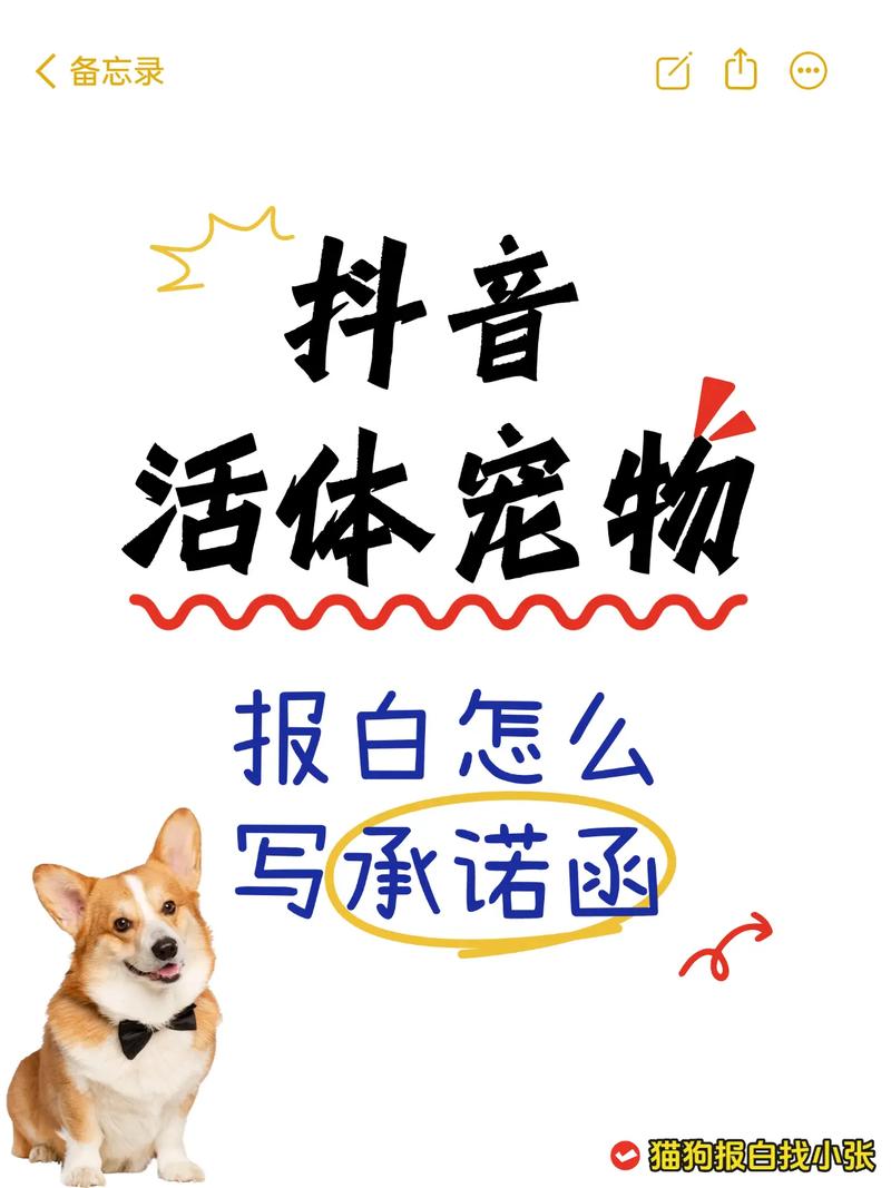 情感人性与使命(宠物by三言子衿) 情感人性与使命(宠物by三言子衿)
