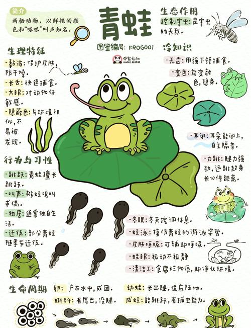 青蛙叫得快慢,藏着温度秘密(蛙类它们似乎有智商和感情) 青蛙叫得快慢,藏着温度秘密(蛙类它们似乎有智商和感情)