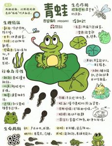 青蛙叫得快慢，藏着温度秘密（蛙类它们似乎有智商和感情）