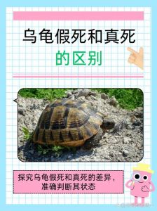 基因与抗衰老机制（为什么乌龟寿命长久）
