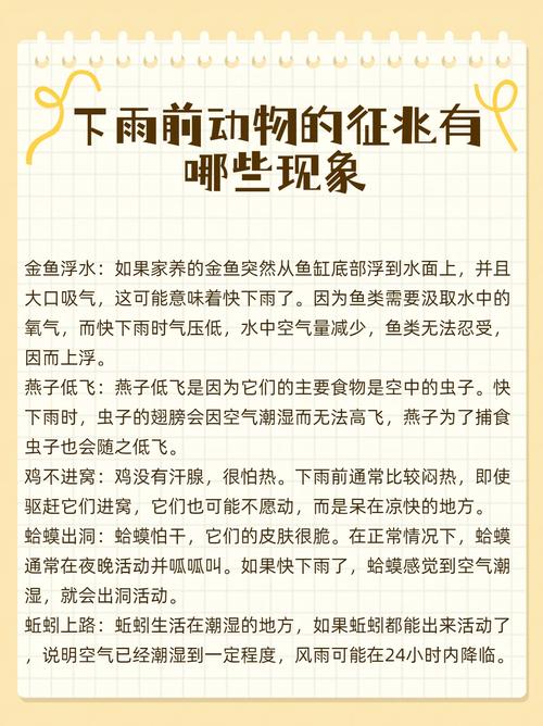 龟背出汗预示要下雨(乌龟出汗代表下雨吗) 龟背出汗预示要下雨(乌龟出汗代表下雨吗)