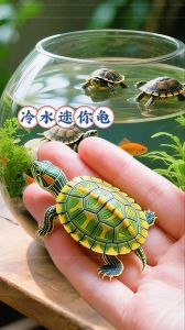 鳄龟黄缘易打理，巴西入门别放生（宠物乌龟什么品种好养）