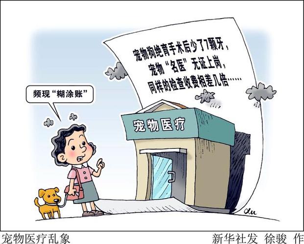 虚假宣传违规操作频发,如何安全托运?(宠物邮寄乱象调查) 虚假宣传违规操作频发,如何安全托运?(宠物邮寄乱象调查)