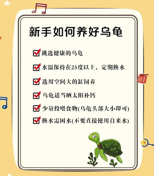 控温保湿,安全过冬(小乌龟冬季怎么养) 控温保湿,安全过冬(小乌龟冬季怎么养)