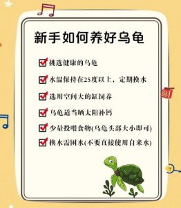 警惕家龟健康隐患，养龟需负责（可以在家养乌龟吗）