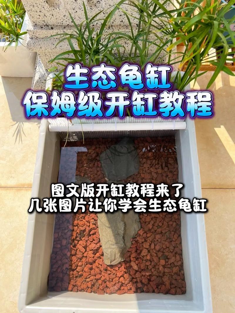 巧用空间,打造理想栖息地(做一张乌龟缸的正确布置图纸) 巧用空间,打造理想栖息地(做一张乌龟缸的正确布置图纸)