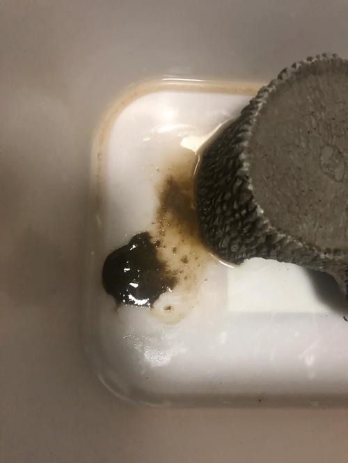乌龟粪便像小热狗,颜色异常需留意!(乌龟拉屎是什么样子的) 乌龟粪便像小热狗,颜色异常需留意!(乌龟拉屎是什么样子的)