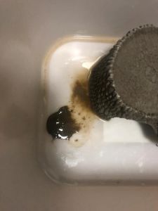乌龟粪便像小热狗，颜色异常需留意！（乌龟拉屎是什么样子的）