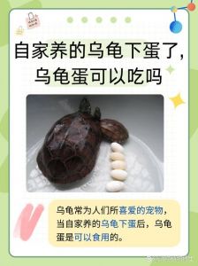 环境水质营养全攻略（蛋龟饲养资料网盘）
