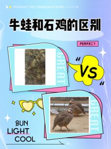 世界》上岸蛙进化培养技巧（上岸蛙可以和那些宠物培育蛋么）