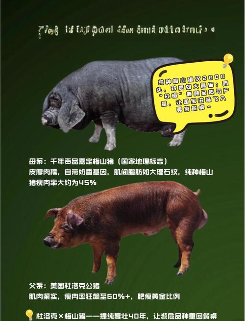 烈火猴克砍牛,混色水晶更实用(砍牛用什么属性宠物) 烈火猴克砍牛,混色水晶更实用(砍牛用什么属性宠物)