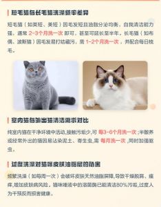 长毛猫洗澡频率因猫而异，日常梳毛更重要（长毛猫多久洗一次澡）