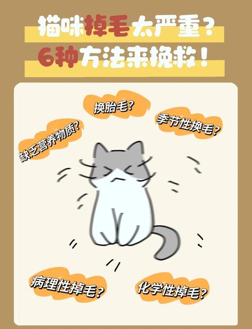 梳毛调饮食巧去猫毛(解决猫掉毛的妙招) 梳毛调饮食巧去猫毛(解决猫掉毛的妙招)